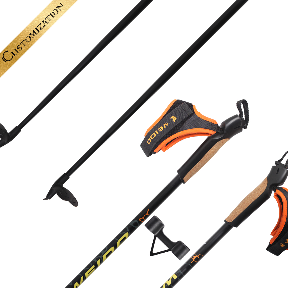 HXZ001-Cross-country ski pole